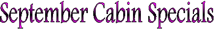 Cabin Specials